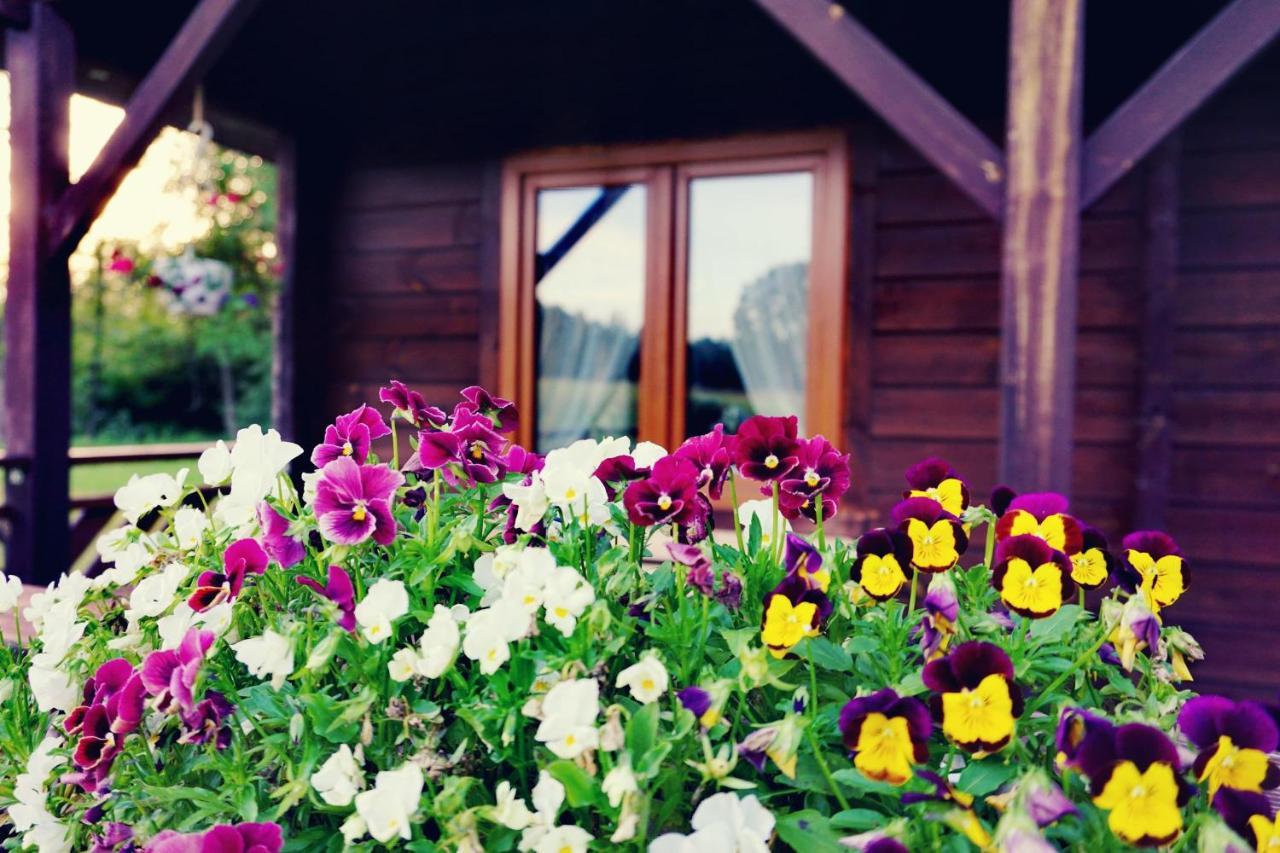 Monasteria Villa Stare Monasterzysko ภายนอก รูปภาพ